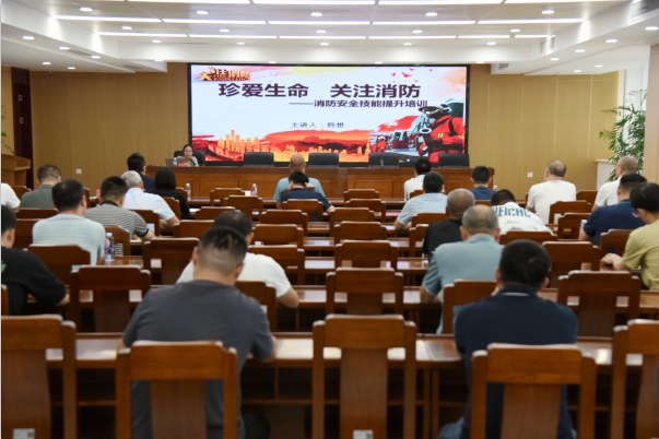 1734486333711468.jpg 1734486287125.jpg